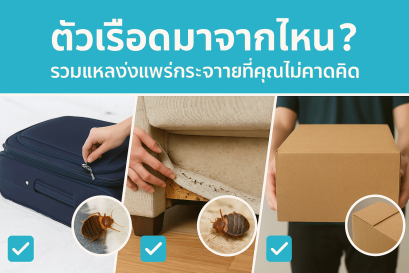 ตัวเรือดมาจากไหน