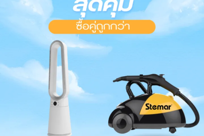 Airbnb สุดหรูเจอแมลงสาบ! แก้ด้วย Stemar - World Health Disinfection