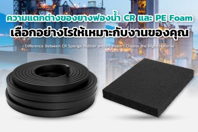 ความแตกต่างของยางฟองน้ำ CR และ PE Foam | เลือกให้ถูกงาน
