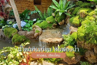 ออกแบบ จัดสวน น้ำตก หินเทียม ราคาถูก สวนบ้าน เชียงใหม่ ชลบุรี พัทยา เชียงดาว
