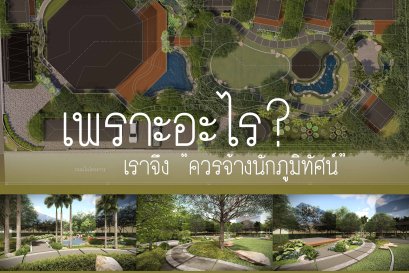 ออกแบบ บ้าน การ จัด สวน หน้า บ้าน เล็ก ๆ