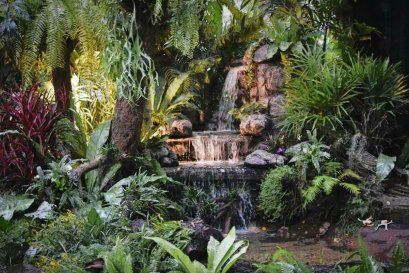 ภูมิทัศน์, ออกแบบ, ตกแต่ง, รีโนเวท, สวน, น้ำตก, หินเทียม, ราคาถูก, สวนบ้าน, landscape, design, renovate, garden, waterfall, 