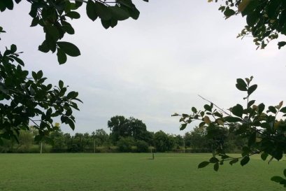 พื้นที่สีเขียวมีผลต่อสุขภาพของคนเรา