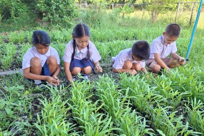  ติดตามการเจริญเติบโตของพืช ผัก และกำจัดวัชพืช