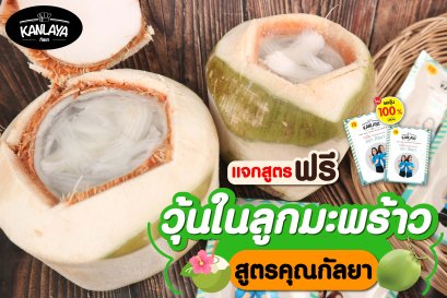 วุ้นในลูกมะพร้าว