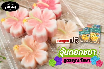 วุ้นดอกชบา