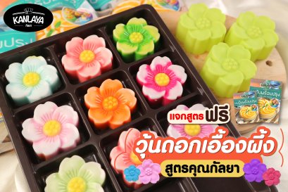 วุ้นดอกเอื้องผึ้ง