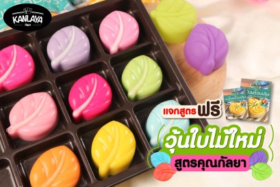 วุ้นใบไม้ใหม่