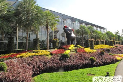 เที่ยว ดาษดา ดินแดนดอกไม้สวยงาม แห่ง ปราจีนบุรี