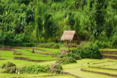 8 เหตุผลที่ต่างชาติรักประเทศลาว