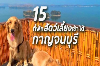 ” พาเพื่อนซี้ 4 ขาไปนอนพักที่กาญจนบุรีกันเถอะ “