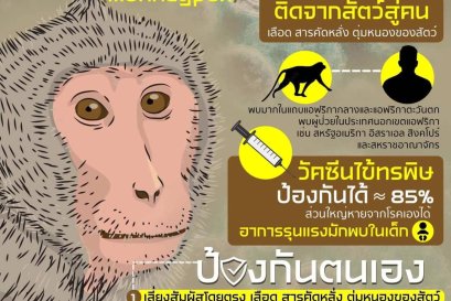 โรคฝีดาษวานร คืออะไร