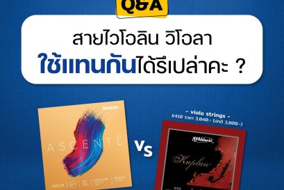 สายไวโอลิน วิโอลา ใช้งานแทนกันได้รึป่าวนะ?
