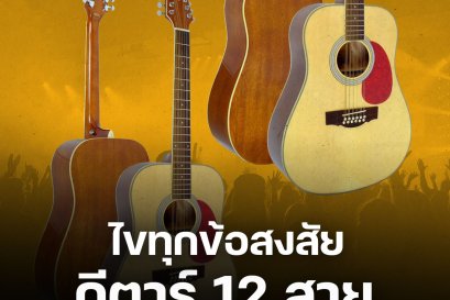 "กีตาร์ 12 สาย" เล่นยังไง ใช้คอร์ดแบบไหน การตั้งสายจะยากหรือไม่ และมีขายที่ไหน มาดูกัน!