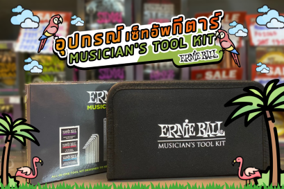 อุปกรณ์เชทอัพกีตาร์  Ernie Ball Musician's