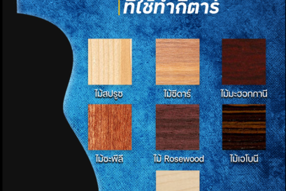 สงสัยกันไหม ?? ว่าไม้ที่ใช้ทำกีตาร์มีไม้อะไรบ้าง