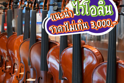 ไวโอลิน,Violin