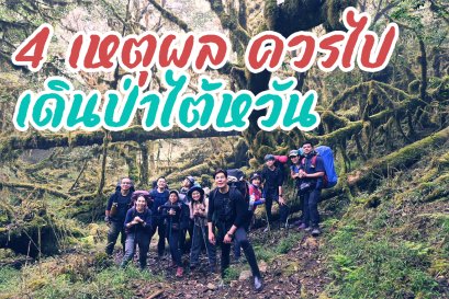 Impact แคมป์พาเดิน #เดินป่า ไต้หวัน Tai Phing Shan