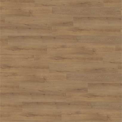 ELM