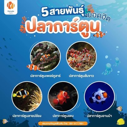 5 สายพันธุ์ "ปลาการ์ตูน" ยอดฮิต