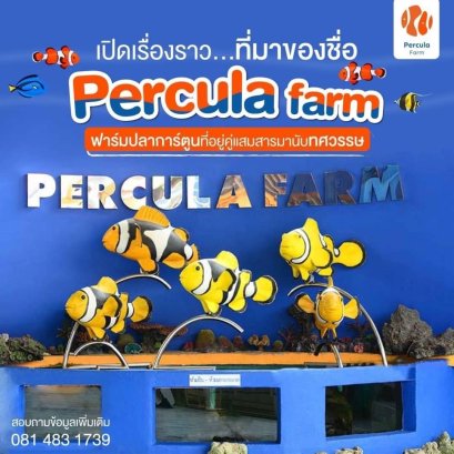 เปิดเรื่องราว ที่มาของชื่อ PERCULA FARM ฟาร์มปลาการ์ตูนที่อยู่คู่แสมสารมานานนับทศวรรษ
