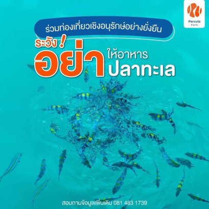 ท่องเที่ยวเชิงอนุรักษ์ อย่า!! ให้อาหารปลาทะเล