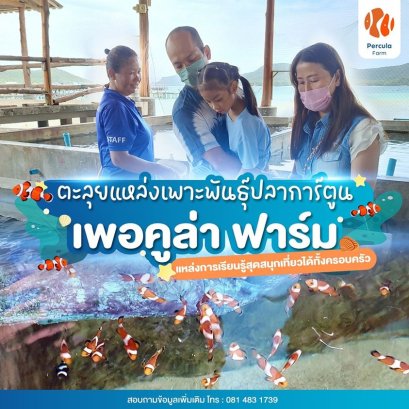 ตะลุย แหล่งเพาะพันธุ์ปลาการ์ตูน