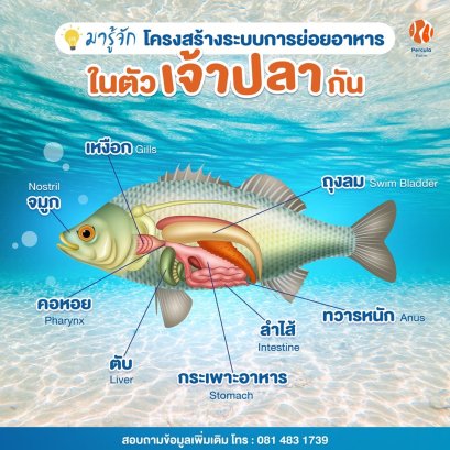 ในปลาหนึ่งชนิดมีโครงสร้างระบบย่อยอาหารแบบไหน