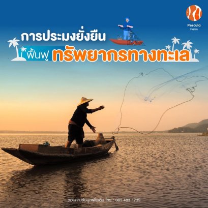 การประมงยั่งยืน ฟื้นฟูทรัพยากรทางทะเล