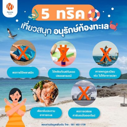 5 ทริค เที่ยวสนุก อนุรักษ์สัตว์ทะเล