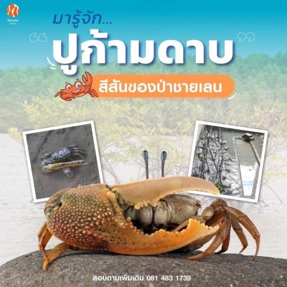 มารู้จัก ปูก้ามดาบ