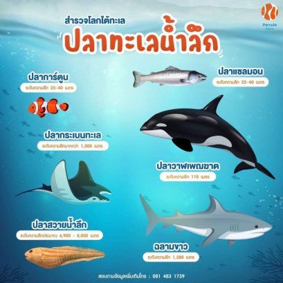สำรวจโลกใต้ทะเล ปลาทะเลน้ำลึก