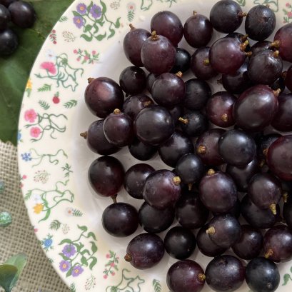 วิธีล้างองุ่น │ How to wash grapes