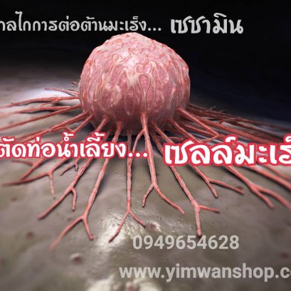  เซซามิน กับเซลล์มะเร็ง(Cancer) มีปฏิกิริยากันอย่างไร
