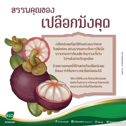 Properties of mangosteen peel