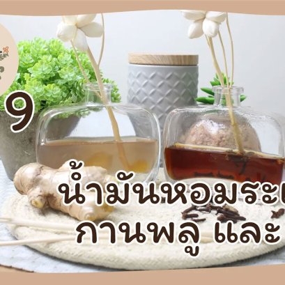 EyeHerbs Ep.9 Clove Ginger Essential Oil