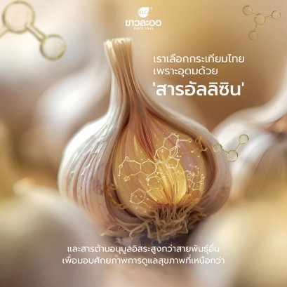 ข้อเข่า: สัญญาณที่ต้องใส่ใจ เพื่อการเคลื่อนไหวที่ไม่สะดุด