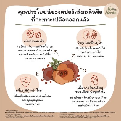 Benefits of lingzhi spores that has peeled off