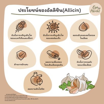 Benefits of Allicin