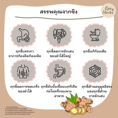 Properties of Ginger