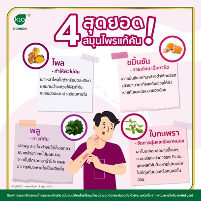 4 best herbs to cure itching!