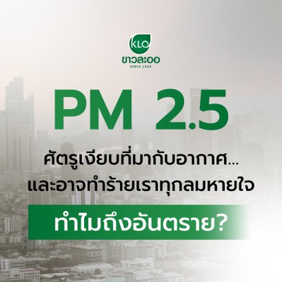 PM 2.5: The Silent Threat That Comes with Every Breath