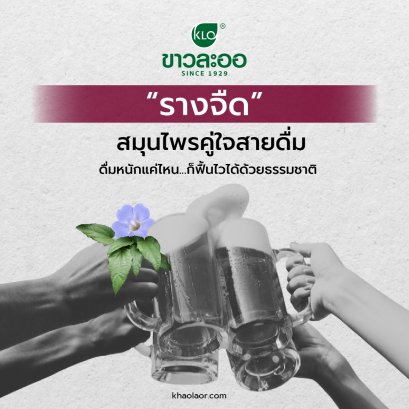 Thunbergia laurifolia  A Herbal Ally for Drinkers  No matter how much you drink nature can help you bounce back fast!