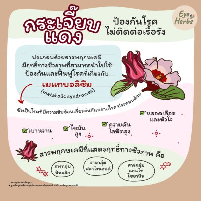 Roselle prevents chronic non-communicable diseases