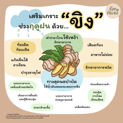 Strengthen your armor during the rainy season with... Ginger