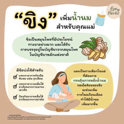 Ginger to increase milk for mothers