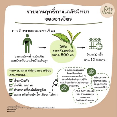 Report on the pharmacological effects of green tea.