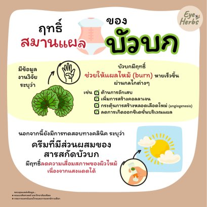 Wound healing effect of gotu kola