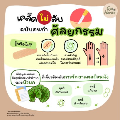 Secret tips for plastic surgery people