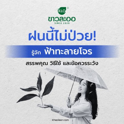 Stay Healthy This Rainy Season! Understanding Andrographis Paniculata: Its Benefits, Proper Use, and Precautions